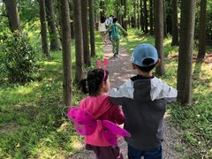 -上海长兴岛郊野公园