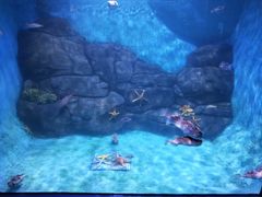 -厦门海底世界
