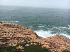 -广东惠东海龟国家级自然保护区