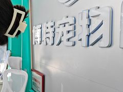 -博特宠物医院24h犬猫全科.骨科·异宠