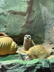 -Zoolung Zoolung动物主题公园(海信广场店)