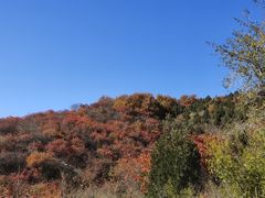 -北京西山国家森林公园