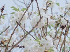 -观澜湖生态运动公社