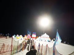 -沈阳奥体冰雪嘉年华