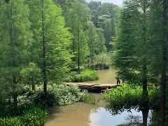 -云溪植物园