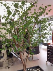 -付军剪艺JF ProSalon