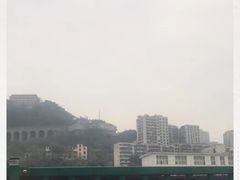 -菜园坝水果市场