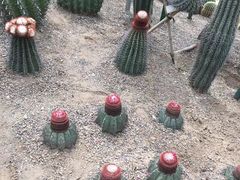 -南山植物园