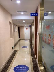 -碧莲盛·不剃发植发