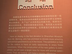 -深圳博物馆历史民俗馆
