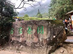 -姑婆山旅游区