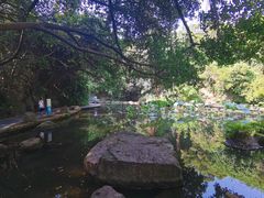 -燕晗山郊野公园
