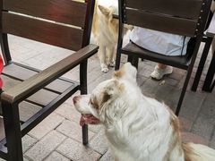 -豆舞咖啡(民乐路店)