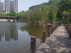 -重庆彩云湖湿地公园