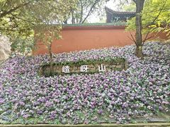 -嵖岈山风景区