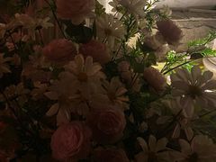 -阁楼Glow