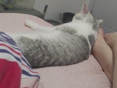 -中农国际动物医院24小时·猫科·骨科·急重症中心