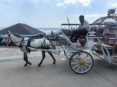 -南戴河国际娱乐中心