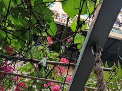 -时光花园(白鹭洲店)