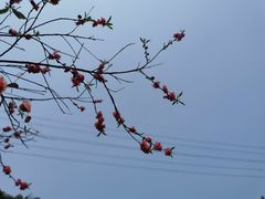 -壹华里市集