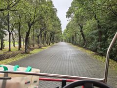 -上海海湾国家森林公园