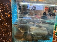 -浔味·山屿湖·正宗淳牌全鱼宴老字号