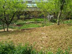 -广州神农草堂中医药博物馆