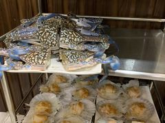 -越百海海鲜蒸锅(乐山店)