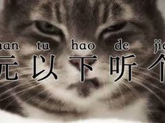 -北京天域联达耳机店(财智国际大厦店)