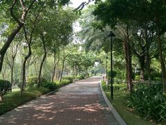 -怡海公园(桂城街道)