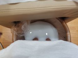 -车莉可可美甲美睫沙龙