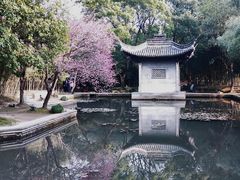 -兰亭风景区