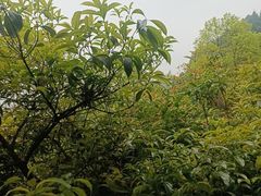-故乡缘·香格里拉山庄(冷竹路店)