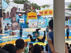 -海合安成都极地海洋公园