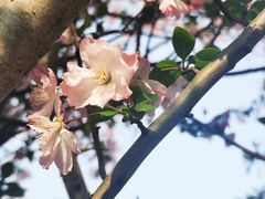 -杭州湖滨in77