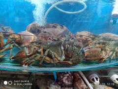 -望海潮海鲜店 特色家常菜(在海一方店)