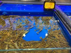 -万宝海鲜舫(劳动公园店)