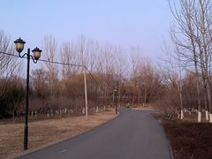 -永定河休闲森林公园