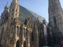 -斯蒂芬主教座堂(Stephansdom)
