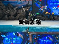 -锦艺城海洋馆