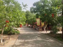 -大槐树寻根祭祖园