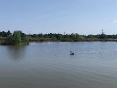 -宁波杭州湾国家湿地公园