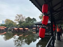 -侨美·唐荔园·40年地道粤菜