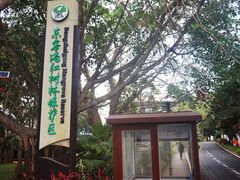 -东寨港红树林旅游区