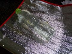 -丫丫蟹庄·苏式园林农家乐·阳澄湖大闸蟹(阳澄湖莲花岛店)