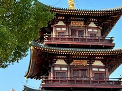 -庐山风景名胜区-东林大佛