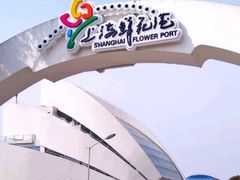 -上海鲜花港
