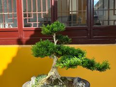 -圆通寺