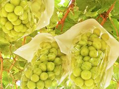 -镇江润扬大桥酒店