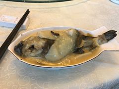 -孔庆璞河豚馆(白玉兰酒店)